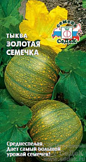 Семена Тыква Золотая Семечка оранж-зел цв/п 2 г СеДеК
