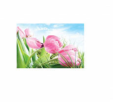 Наклейка декоративная для кухни 45*75см, Розовые тюльпаны